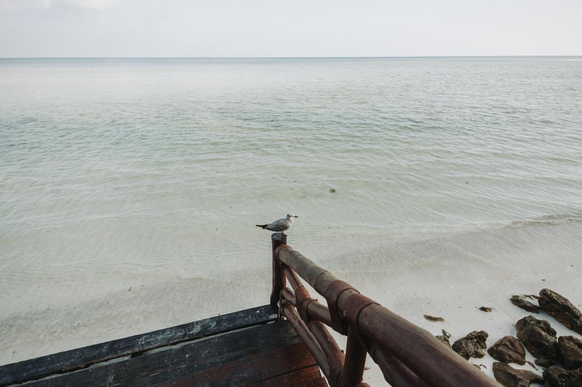 Las Nubes De Holbox Exterior photo