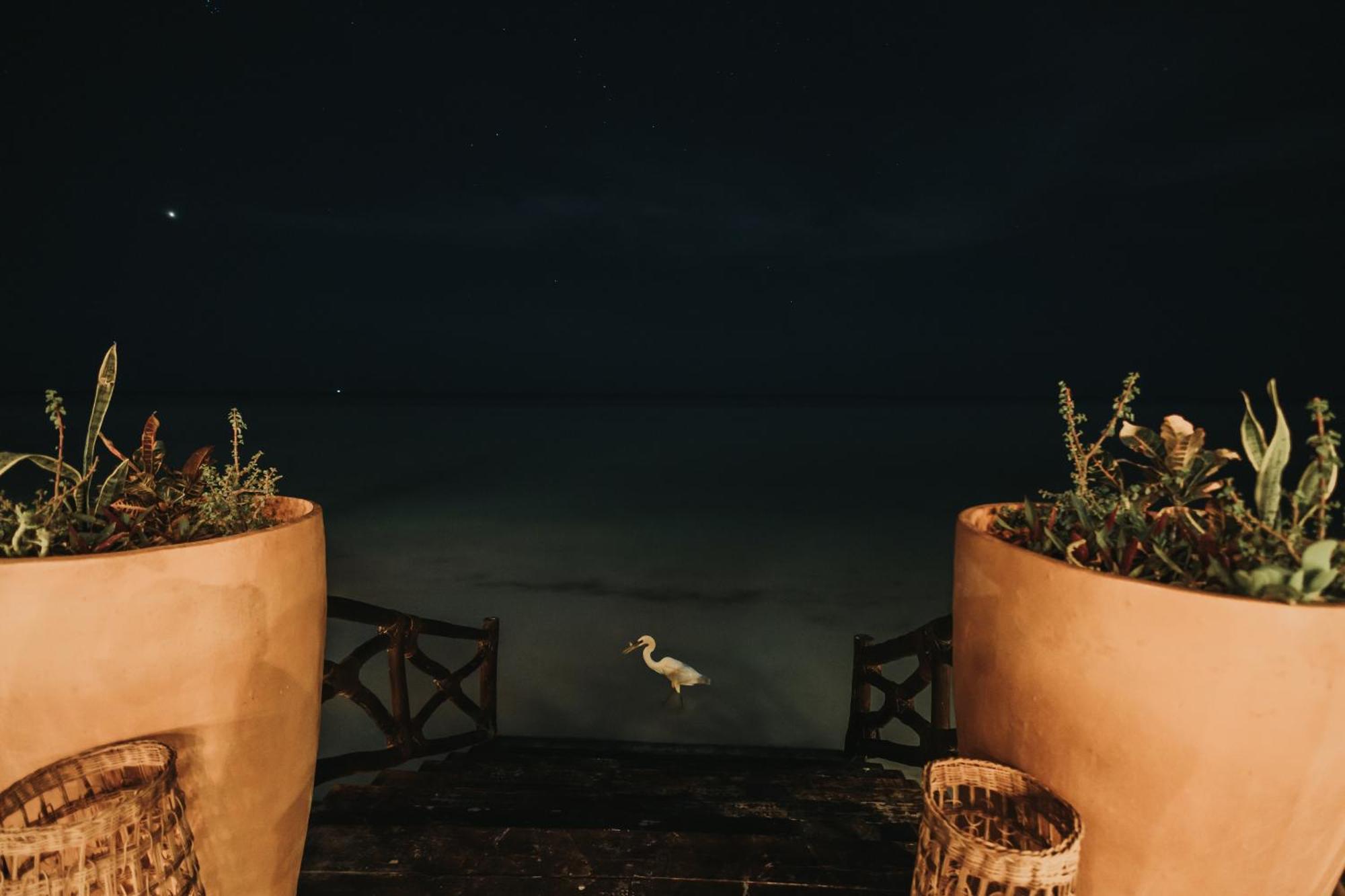 Las Nubes De Holbox Exterior photo