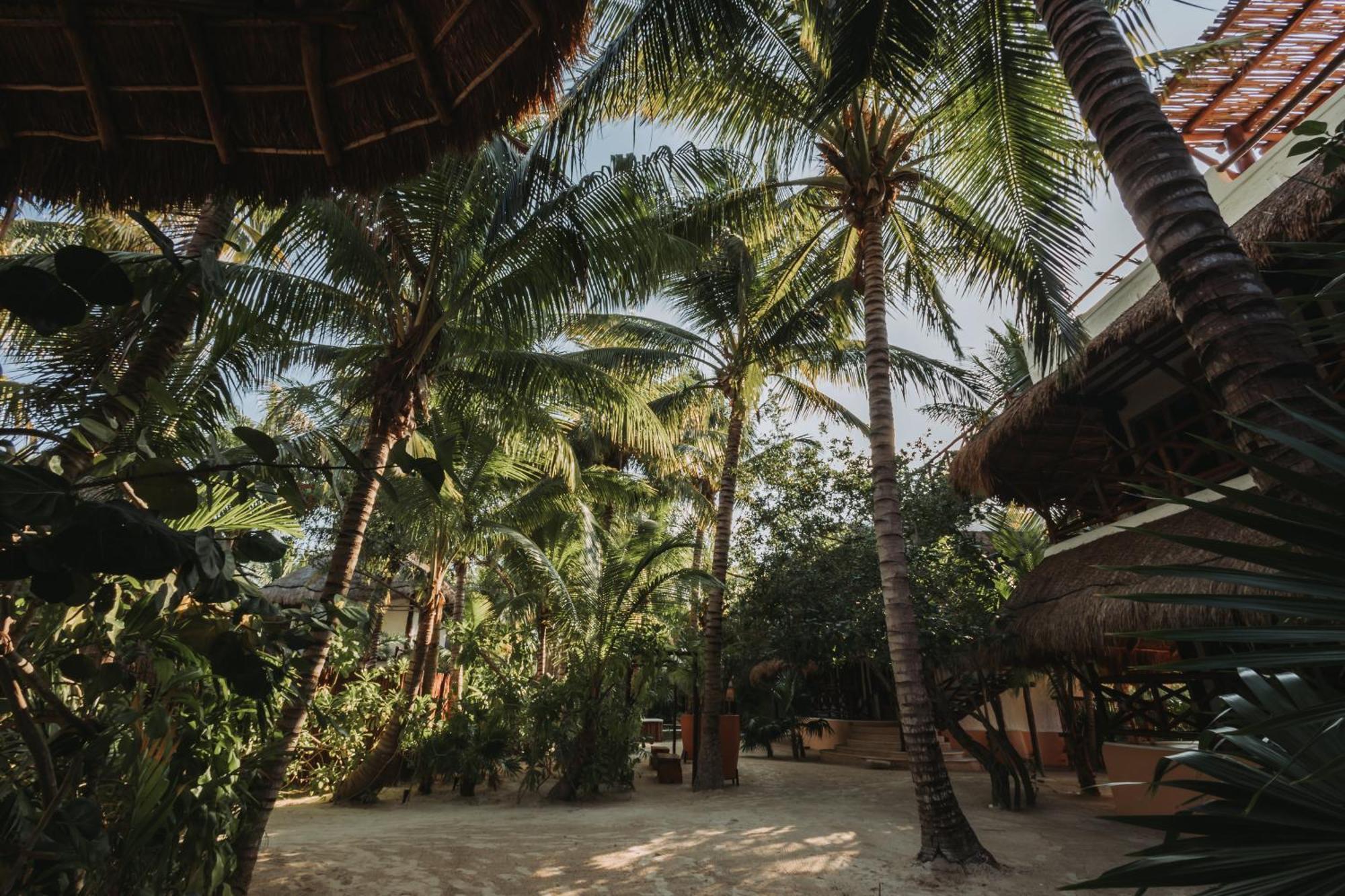 Las Nubes De Holbox Exterior photo